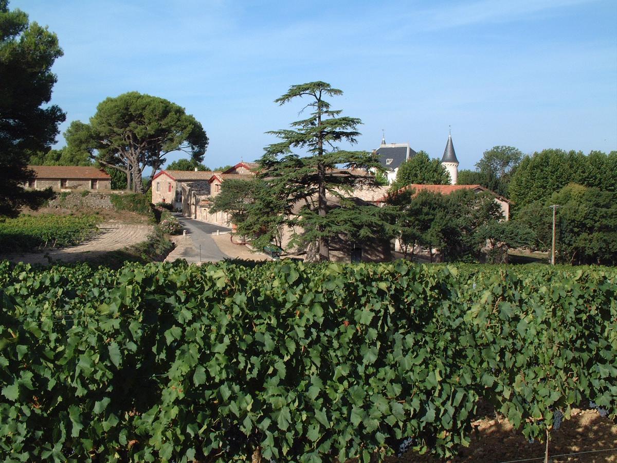 Chateau Saint Martin De Graves Aumes ภายนอก รูปภาพ